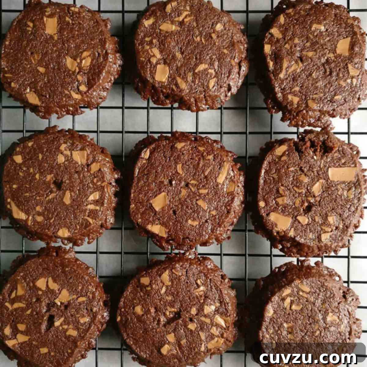 Rich Chocolate Espresso Shortbread 13 Nine chocolate shortbread cookies on a wire rack.