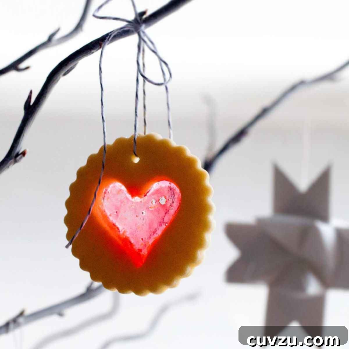 A scalloped round sugar cookie with a heart-shaped windowpane cutout hanging from a tree branch.