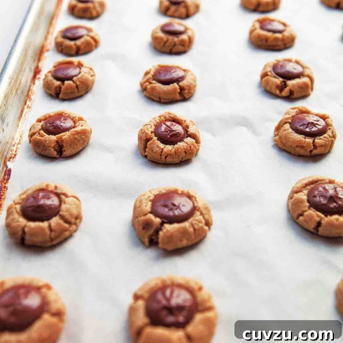 A parchment lined baking sheet filled with rows of round peanut butter cookies with chocolate centers.