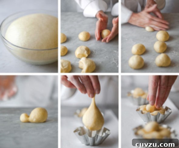 Brioche Shaping Guide A visual guide showing how to shape brioche dough into the classic 'brioche-à-tête' form with a small top knot.