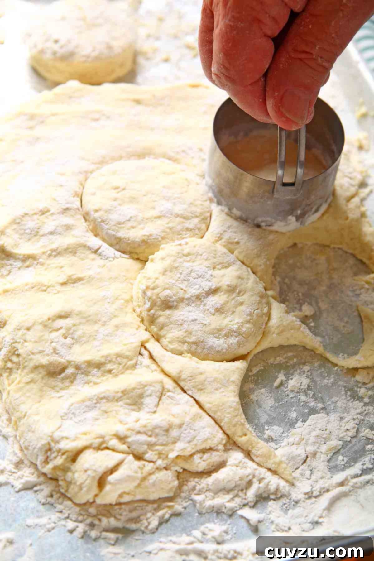 Cloud-Like Cream Biscuits 3 A person using a biscuit cutter to cut out biscuit rounds from dough.