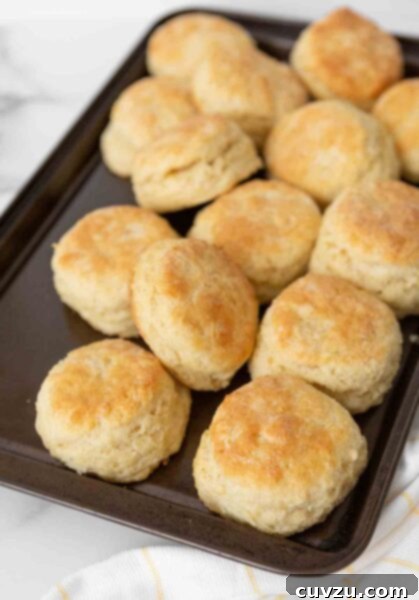 Cloud-Like Cream Biscuits 4 A baking sheet filled with cooked biscuits.