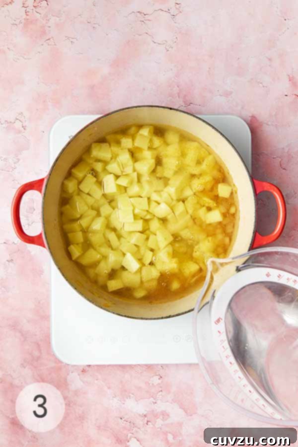 Caldo Verde: Portugal's Iconic Green Soup 8 Cold water being poured into a pot containing potatoes, onions, and garlic, ready for boiling.