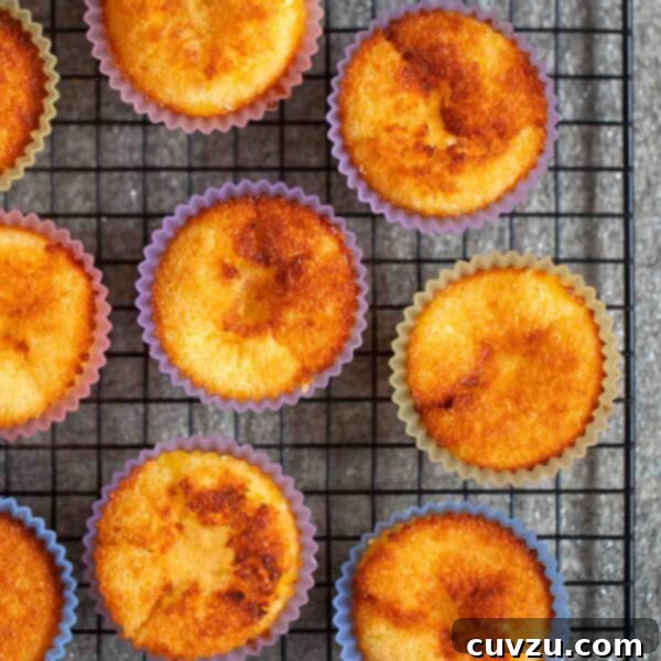 Nine Portuguese coconut custard tarts on a wire rack, featuring golden toasted tops and moist interiors, ready to be served.