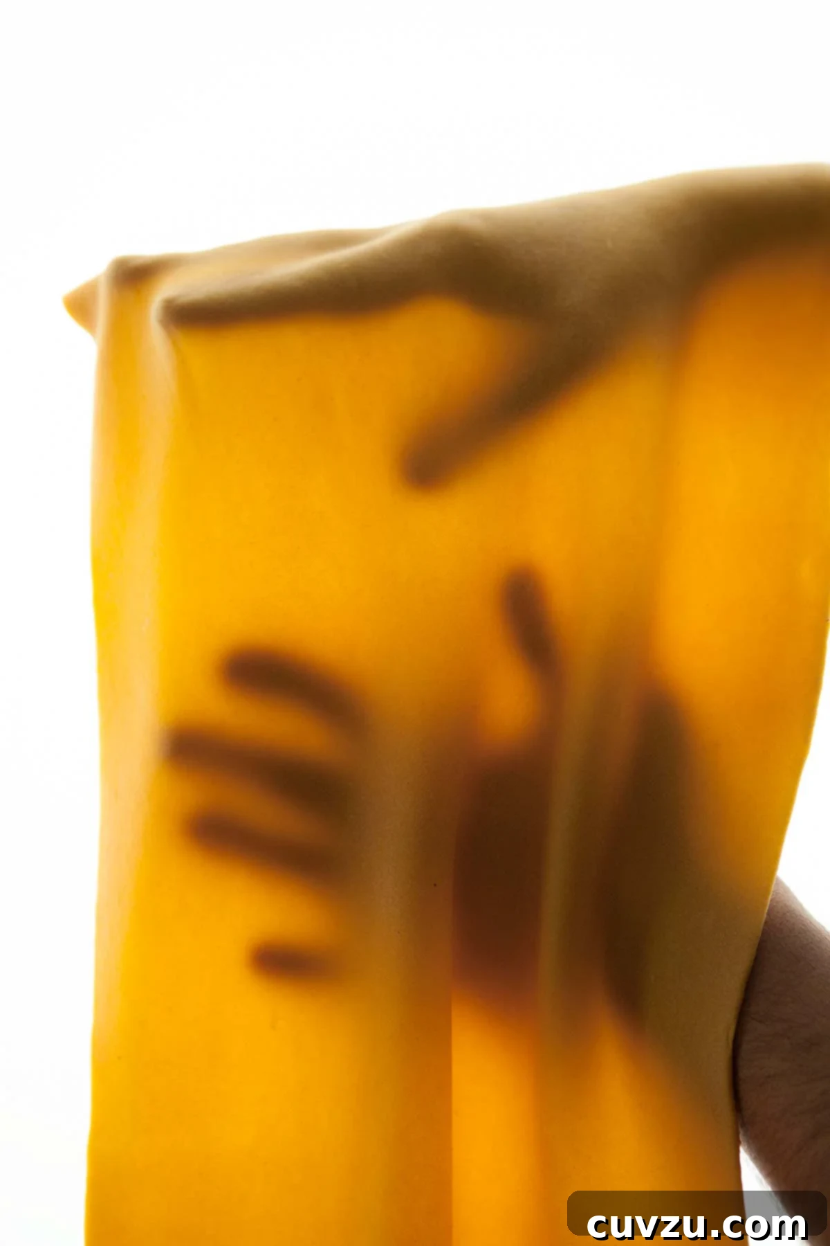 Golden Pumpkin Pasta Dough 2 A thin sheet of homemade pumpkin pasta dough draped over a person's hands, showcasing its delicate texture and warm color.