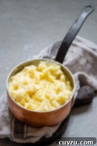Velvet Garlic Potatoes 3 Garlic mashed potatoes with melted butter and black pepper inside a copper pot, resting on a kitchen towel.