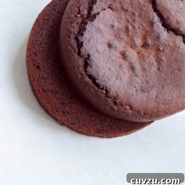 A beautifully stacked vegan chocolate cake, moist and rich, ready to serve.