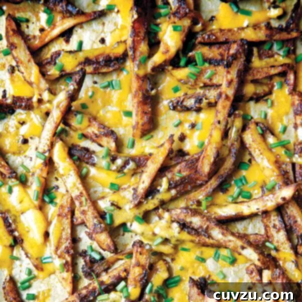 A scattering of chili cheese fries topped with cheddar and snipped fresh chives, ready to serve.