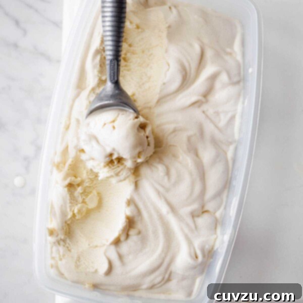 A plastic container filled with vanilla bean ice cream with a metal ice cream scoop resting in it, ready to be served.
