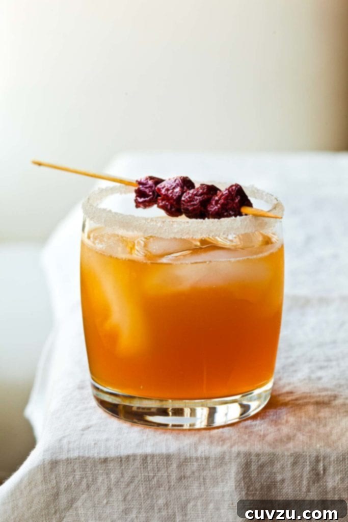 Sidecar: The Zest of Classic Cognac 2 A sidecar cocktail, ice cubes and a dried cherry garnish, in a highball glass with a sugared rim.