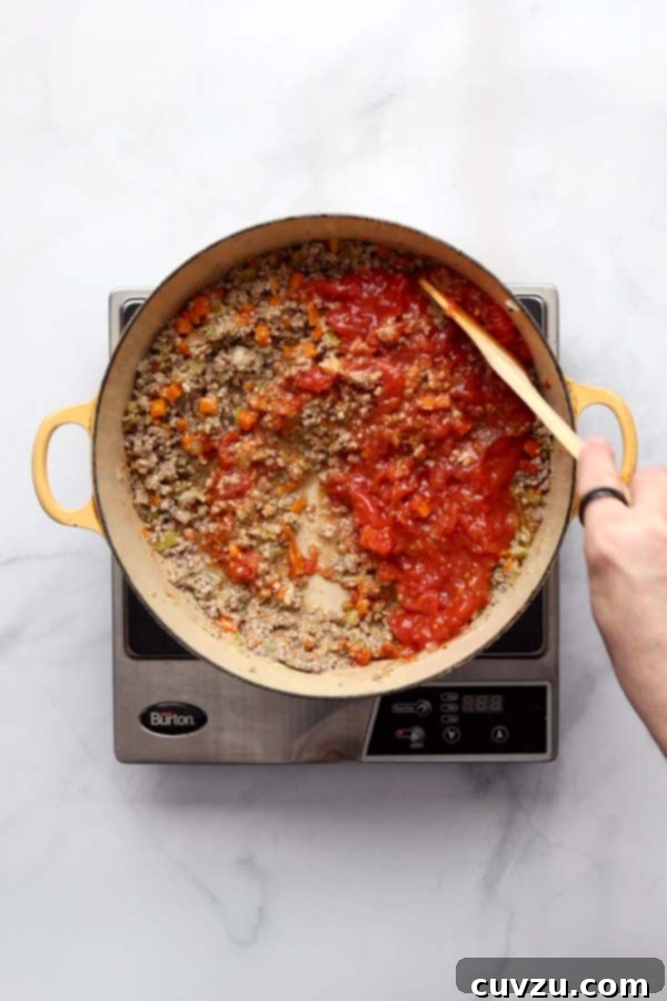 Marcella Hazan's Classic Bolognese 12 Crushed San Marzano tomatoes added to the Bolognese base, beginning the long simmer.
