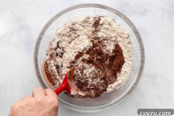 A person mixing flour, cocoa, and sugar in a bowl.