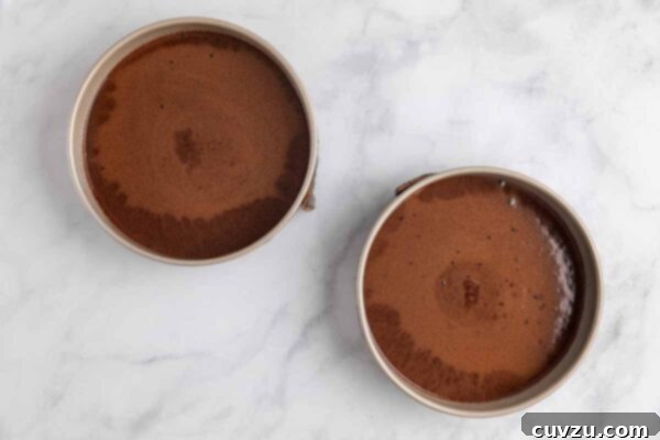 Two cake pans partially filled with chocolate cake batter.