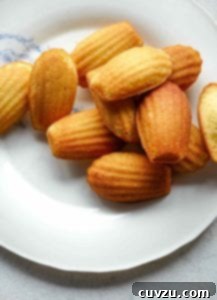 A white plate topped with classic madeleines, showcasing their golden hue and scalloped edges.