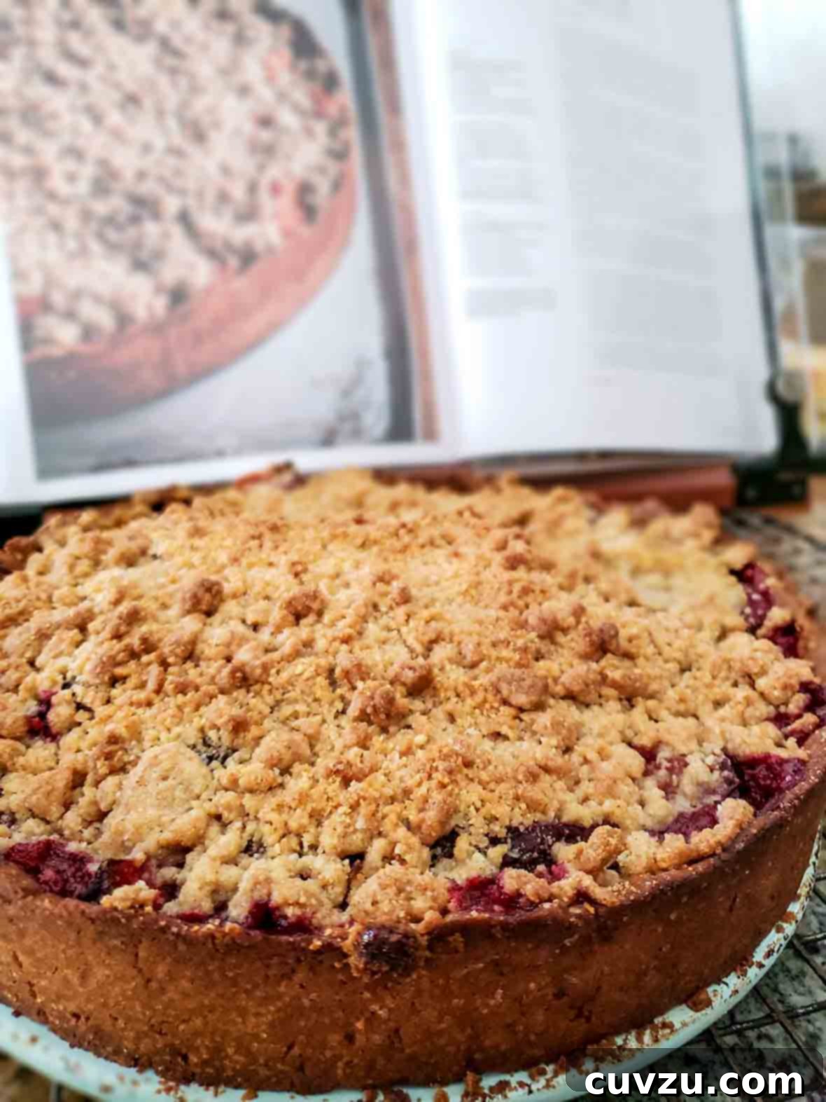 Golden Apricot Delight 5 An apricot tart with a thin crust and a crumble topping on a plate in front of an open cookbook showing the same tart