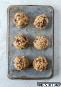 A plate of freshly baked Breakfast Cookies, rich with oats, banana, and chocolate chips.