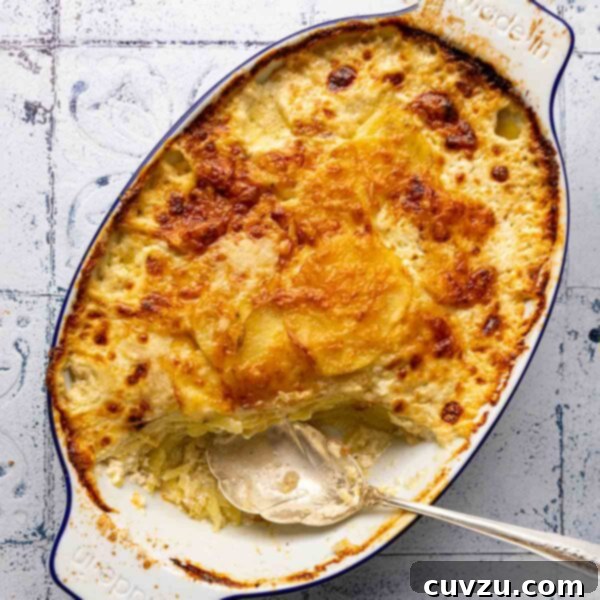 An oval casserole dish filled with golden-brown potatoes dauphinoise, with a silver serving spoon resting gently in the creamy layers.