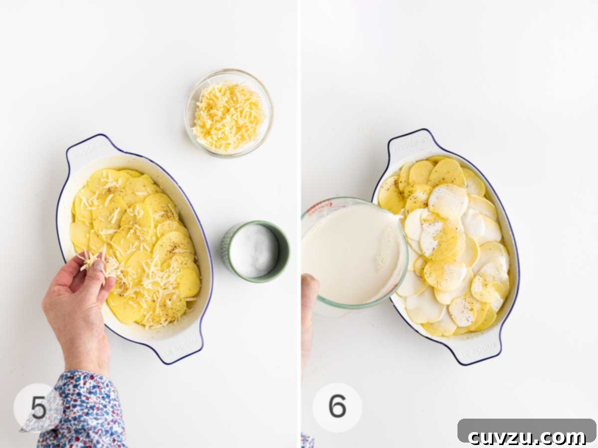 A two-part image showing the final assembly of potatoes dauphinoise. The first panel depicts a person sprinkling a generous layer of grated cheese over the neatly arranged potato slices in a casserole dish. The second panel shows the fragrant cream mixture being poured evenly over the cheese and potatoes, preparing the dish for baking.