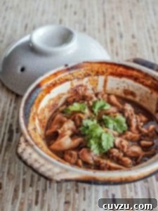 Golden Vietnamese Caramel Chicken 3 A clay pot of chunks of Vietnamese caramel chicken in ginger sauce, topped with cilantro
