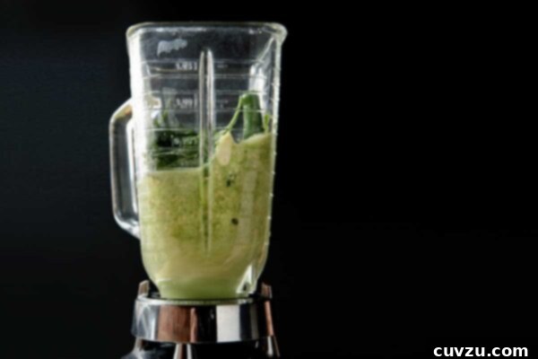 Creamy Tomatillo Avocado Salsa 3 The luscious texture of freshly blended Tomatillo Salsa with Avocado.