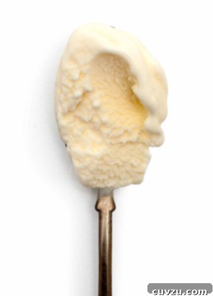 Sweet Cream Dream 3 A spoonful of sweet cream ice cream, ready to be customized.
