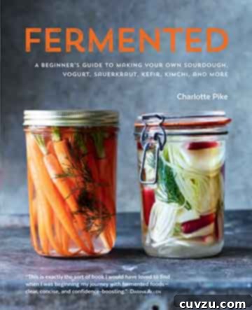 Fermented Cookbook