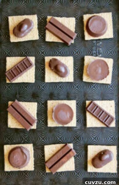 Decadent Candy Bar S'mores 6 A close-up of finished Candy Bar S'mores, with gooey toasted marshmallows and melted candy bars sandwiched between graham crackers.
