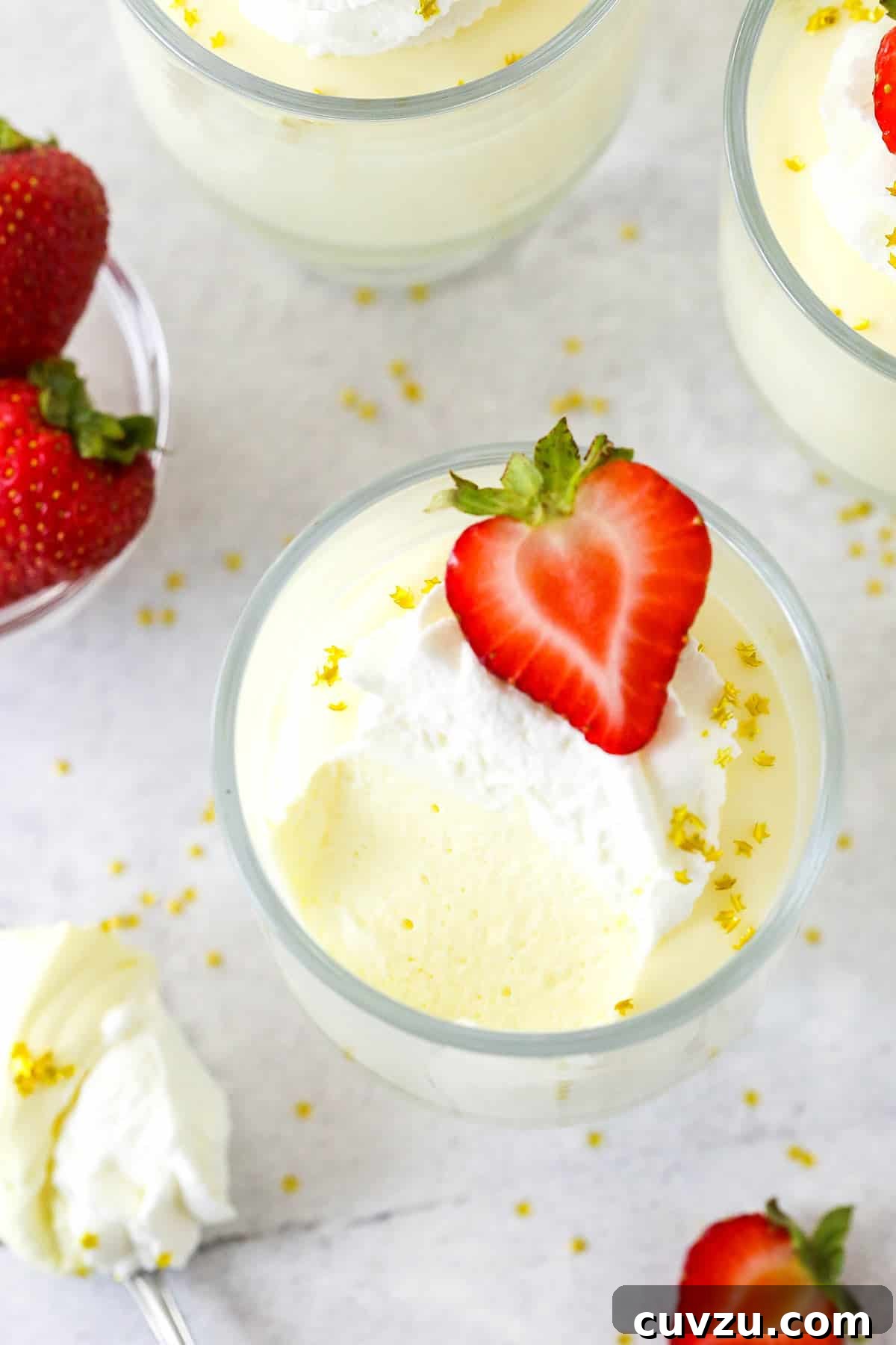 Enjoying a delightful serving of Champagne Mousse. Overhead view of a single glass of champagne mousse, half-eaten, showing the light texture and whipped cream topping.