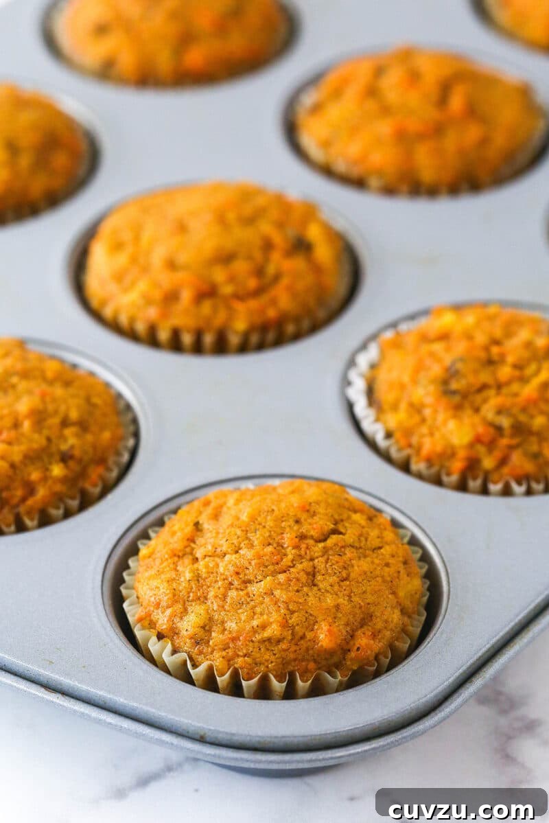 These moist carrot cake cupcakes are loaded with warm spices, teaming with exciting mix-ins, and topped with the best cream cheese frosting. Carrot cake cupcakes in the cake pan sans frosting.