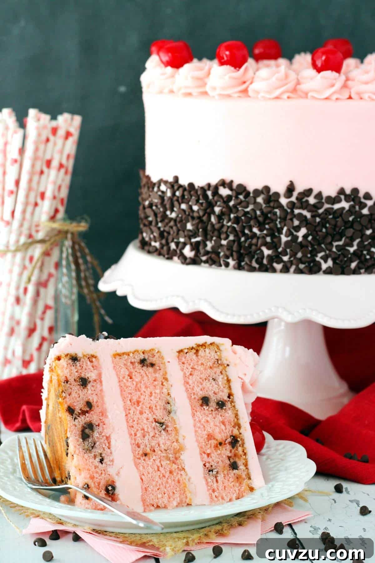 Decadent Chocolate Cherry Delight 3 A slice of cherry chocolate chip cake on a small plate with the rest of the cake in the background.