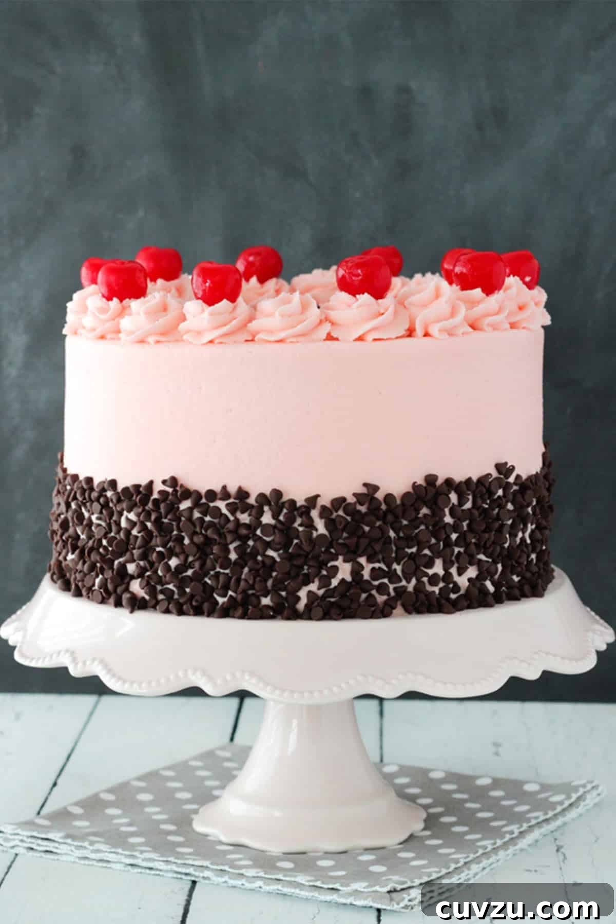 Decadent Chocolate Cherry Delight 4 A cherry chocolate chip cake on a white cake stand.