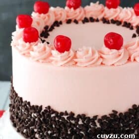 Decadent Chocolate Cherry Delight 7 Close up of a cherry chocolate chip cake on a white cake stand.