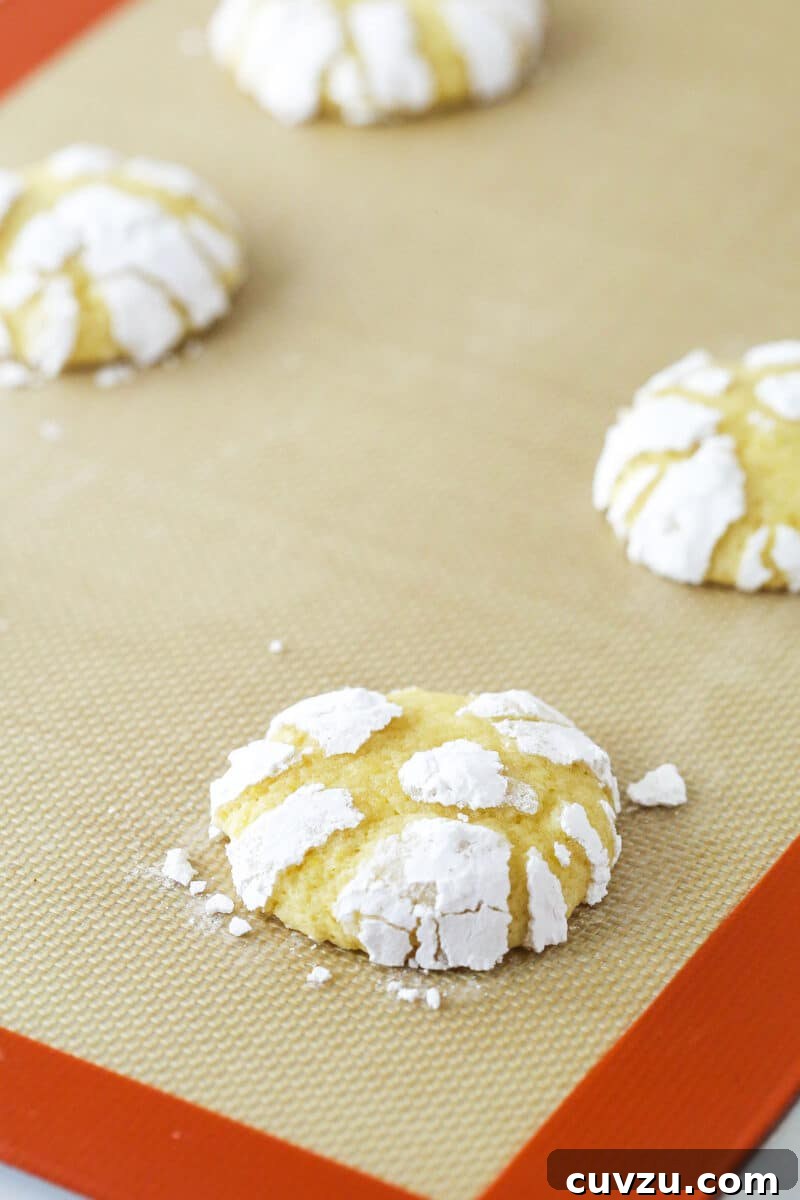Witness the stunning transformation as Lemon Crinkle Cookies bake to perfection, developing their signature crackles and golden edges. Freshly baked lemon crinkle cookies, with beautiful golden edges and pronounced white crackles, cooling on a baking sheet straight from the oven.