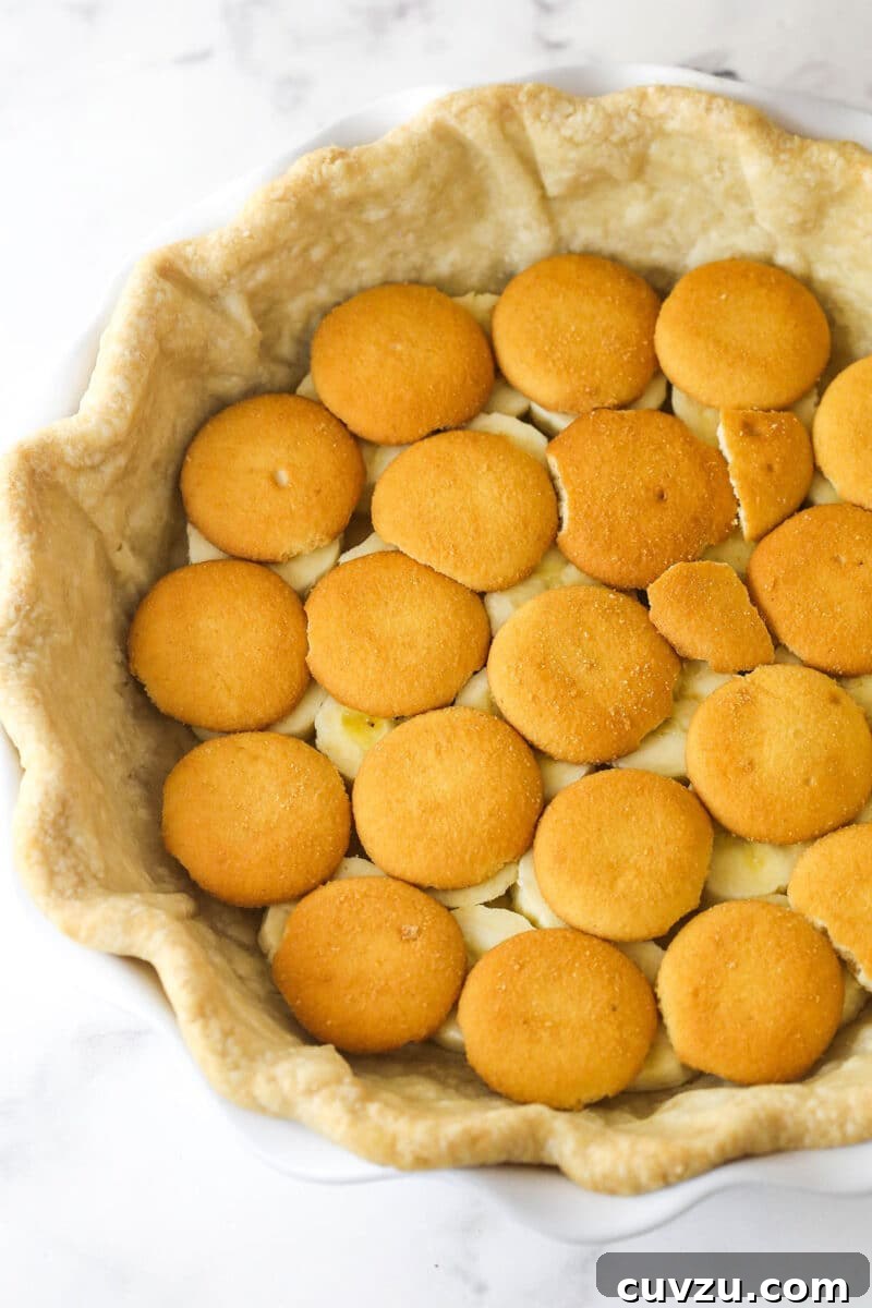 Starting the filling: Nilla wafers and banana slices layered in the pie crust. Layers of Nilla wafers and banana slices meticulously arranged at the bottom of a baked pie crust, ready for the pudding.