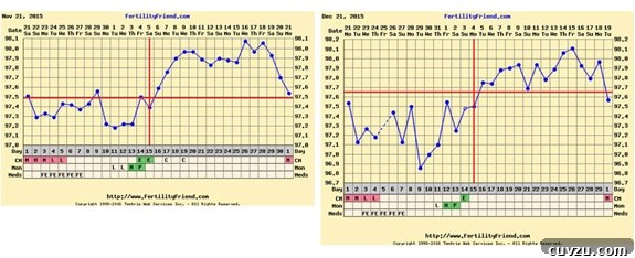 Acupuncture Progress for Our Baby Journey 4 Two BBT charts