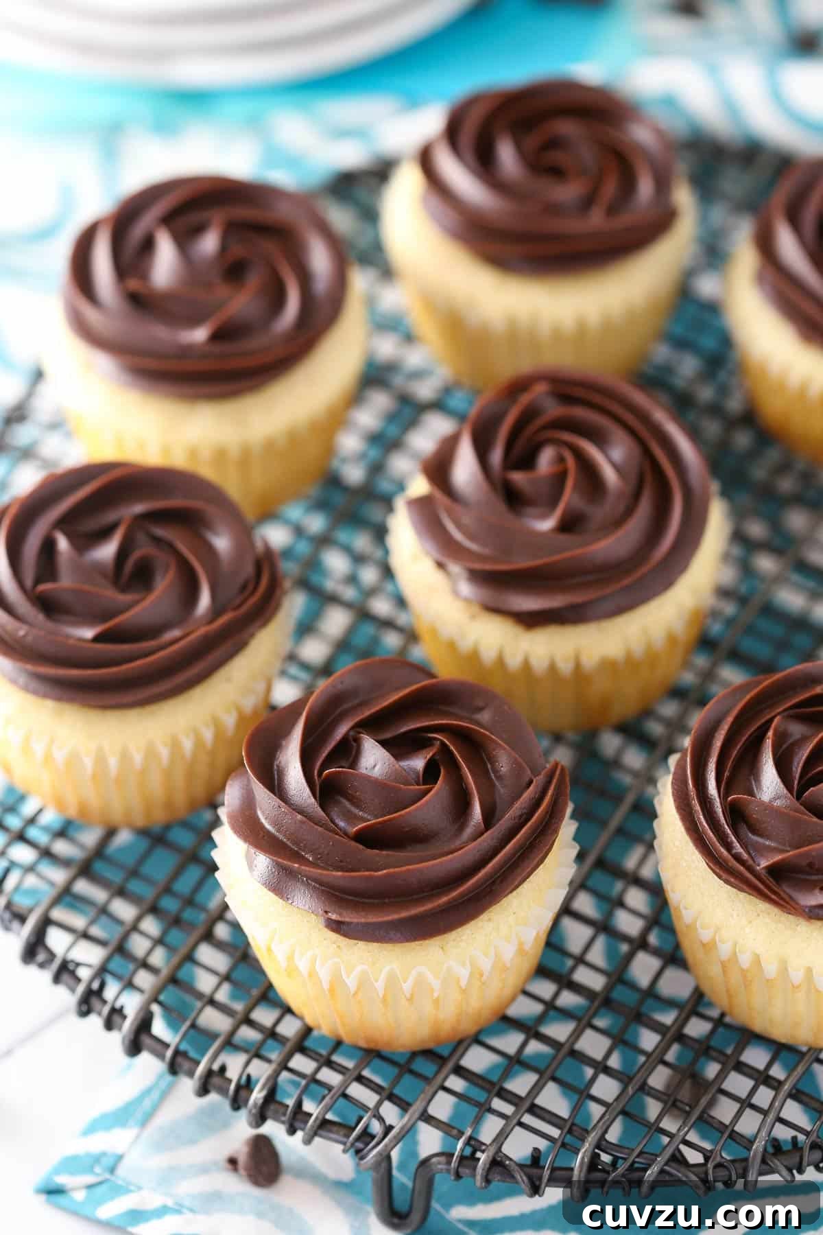Decadent Boston Cream Cupcakes 2 Close-up of several Boston cream pie cupcakes with chocolate ganache and pastry cream filling, on a wire rack.