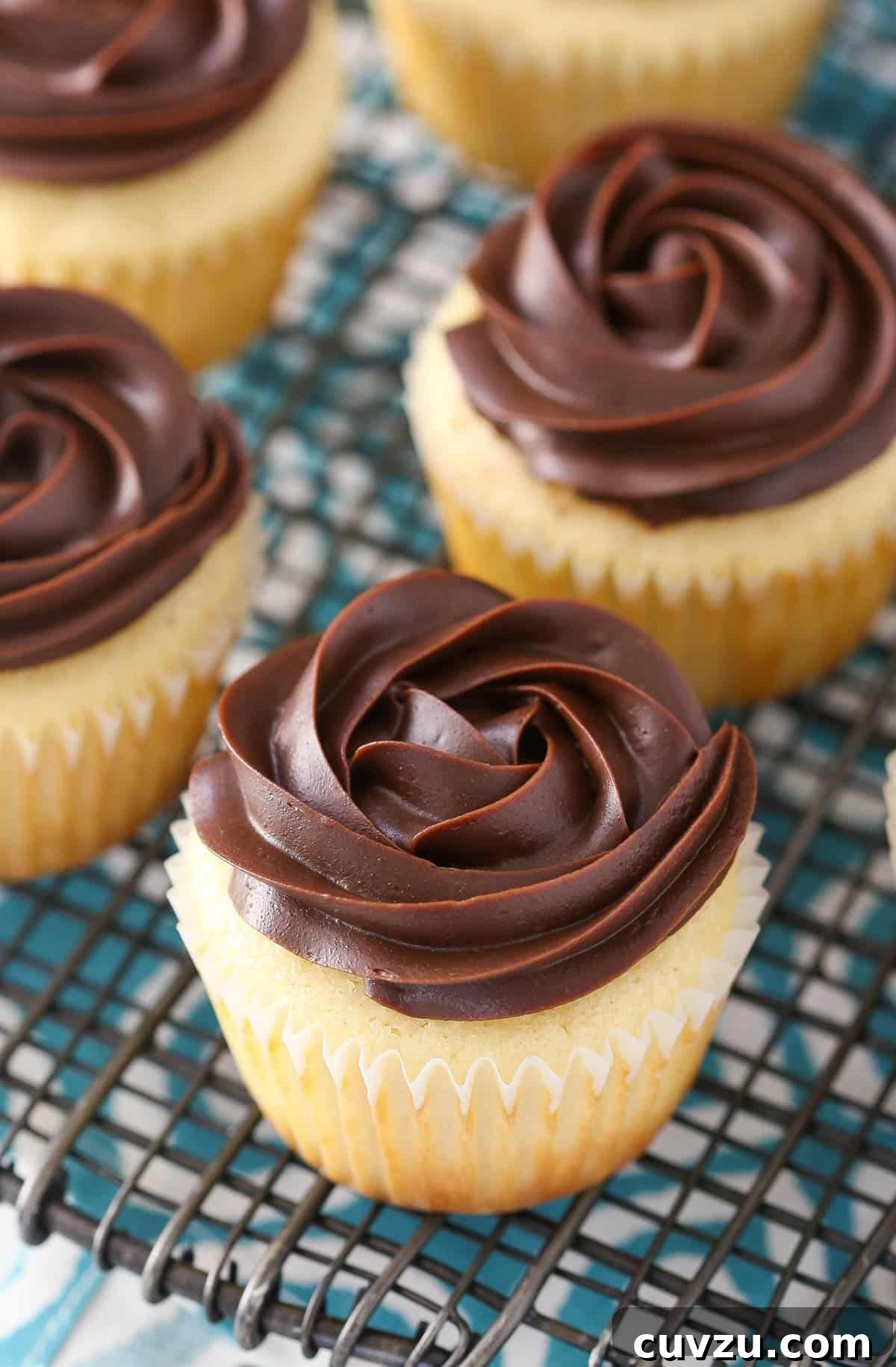 Decadent Boston Cream Cupcakes 5 Detailed close-up of a single Boston cream pie cupcake, showcasing its layers and topping.