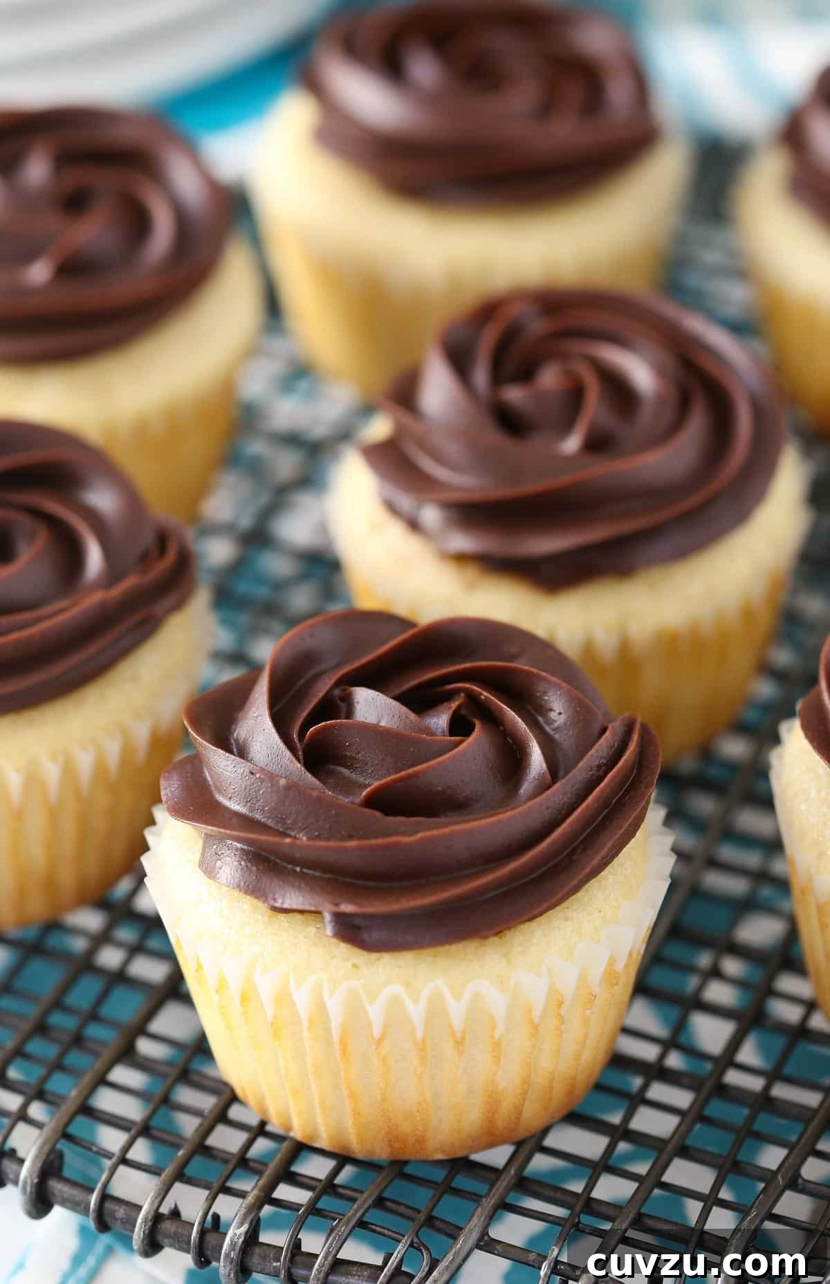 Decadent Boston Cream Cupcakes 7 Close-up of a perfectly piped Boston cream pie cupcake with more blurred in the background.