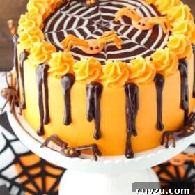 A spiderweb chocolate cake on a white cake stand.