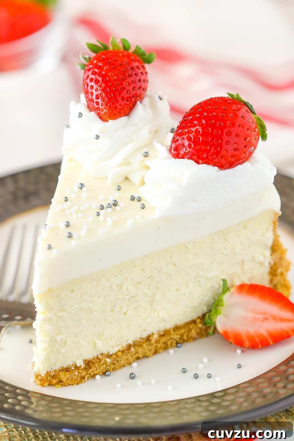 Velvet Vanilla Bean Cheesecake 2 Close up of a vanilla bean cheesecake on a plate.