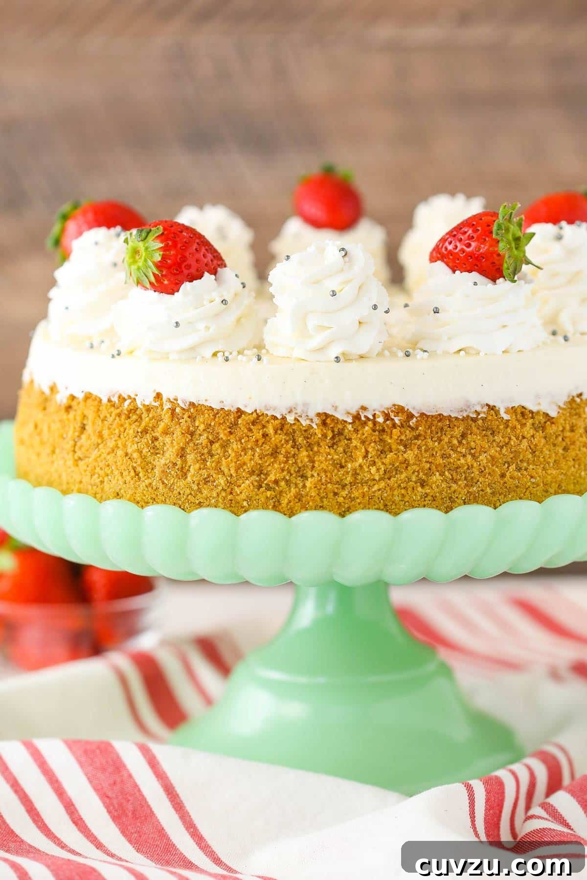 Velvet Vanilla Bean Cheesecake 3 Close up of a vanilla bean cheesecake on a light green cake stand.