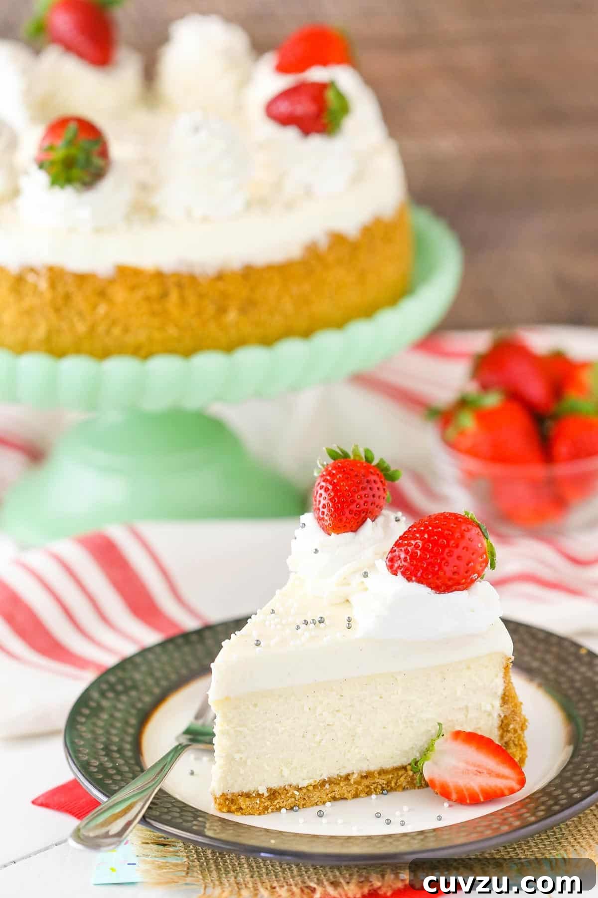 Velvet Vanilla Bean Cheesecake 4 A slice of vanilla bean cheesecake on a dessert plate.