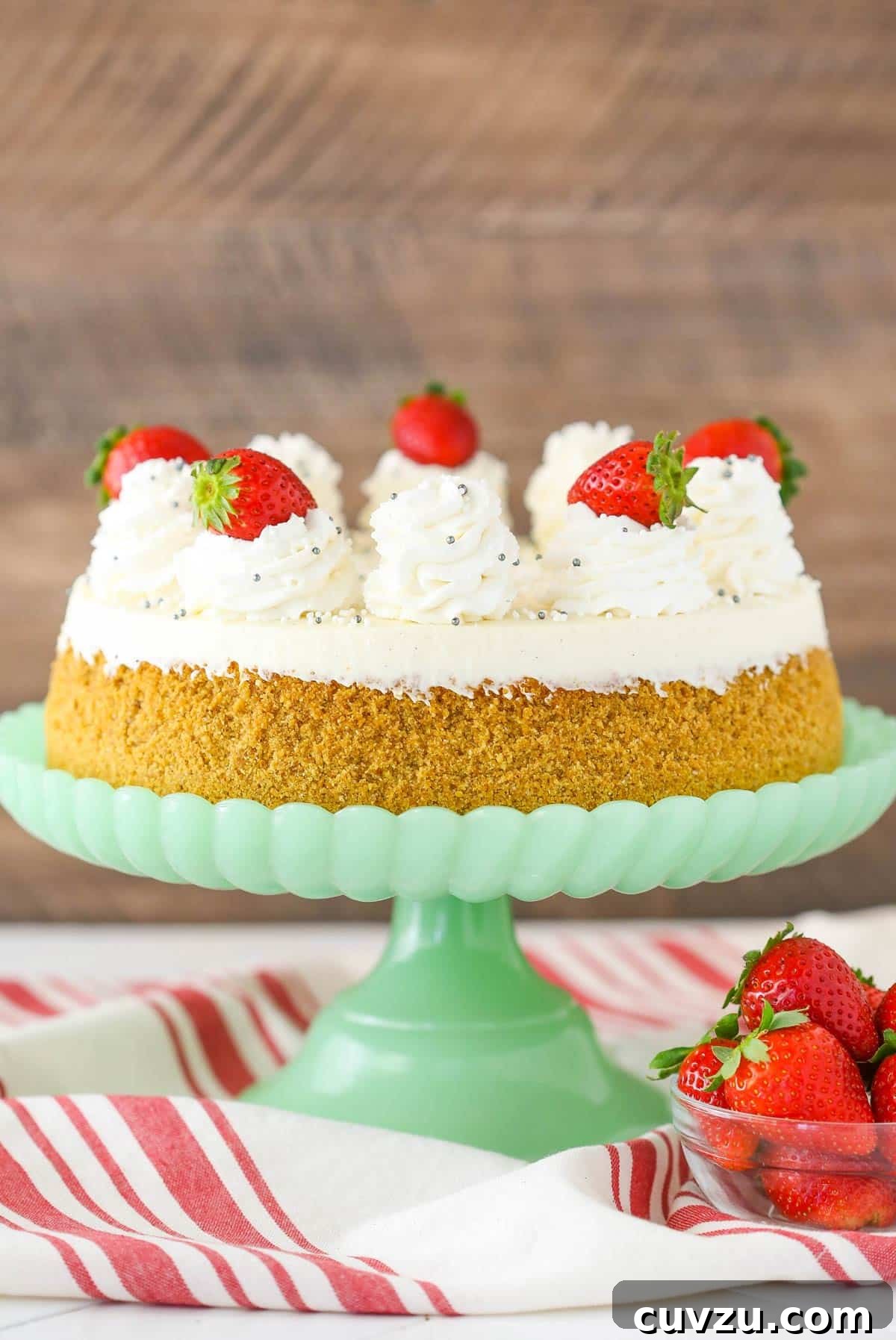 Velvet Vanilla Bean Cheesecake 7 Close up of a vanilla bean cheesecake on a light green cake stand.