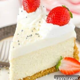 Close up of a vanilla bean cheesecake on a plate.