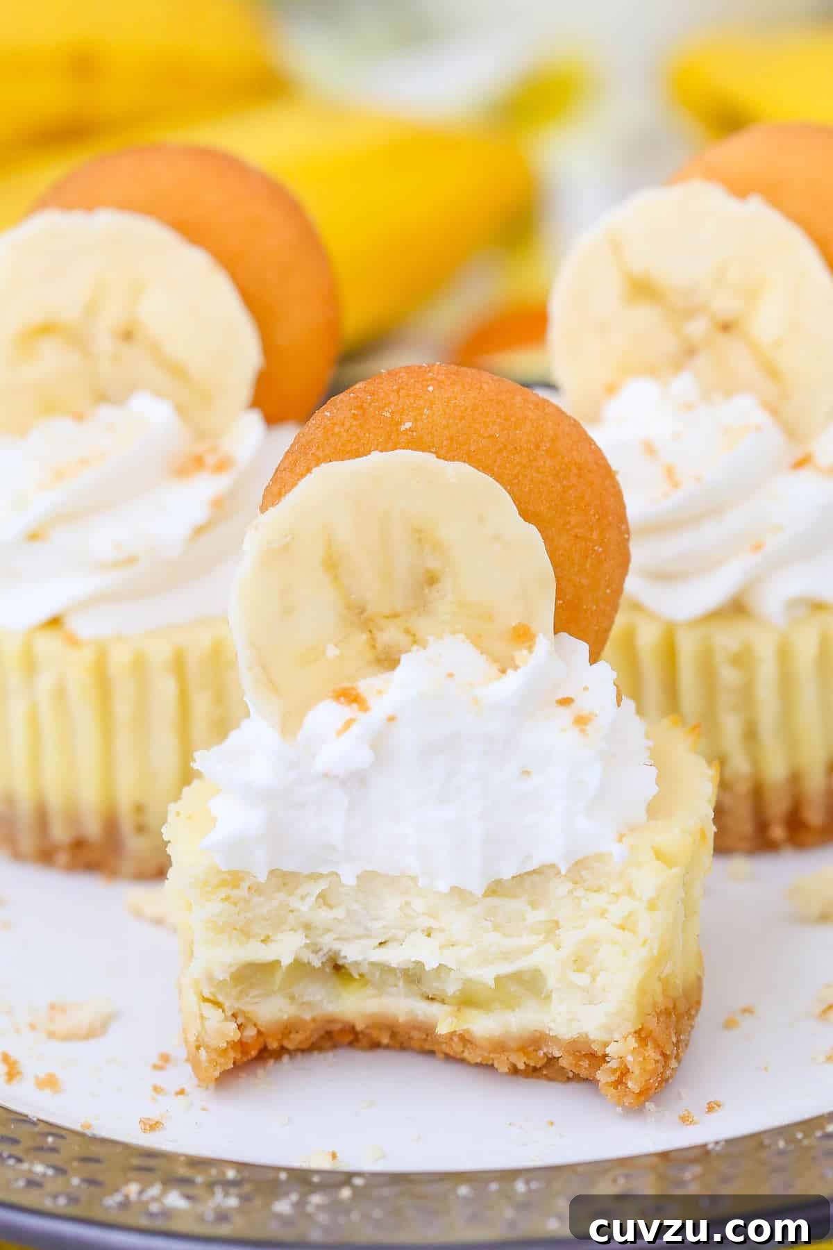 Banana Pudding Cheesecake Bites 3 Close up of a mini banana pudding cheesecake with a bite out of it.
