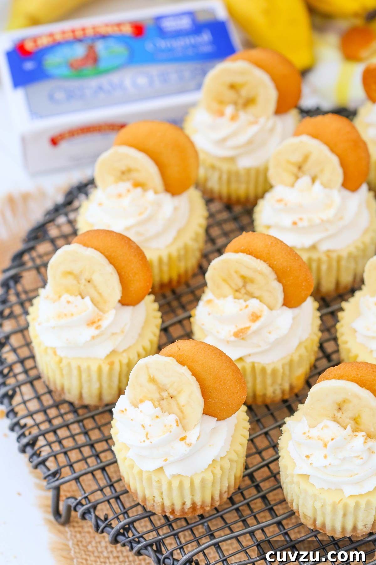 Banana Pudding Cheesecake Bites 4 Top view of mini banana pudding cheesecakes on a wire rack.
