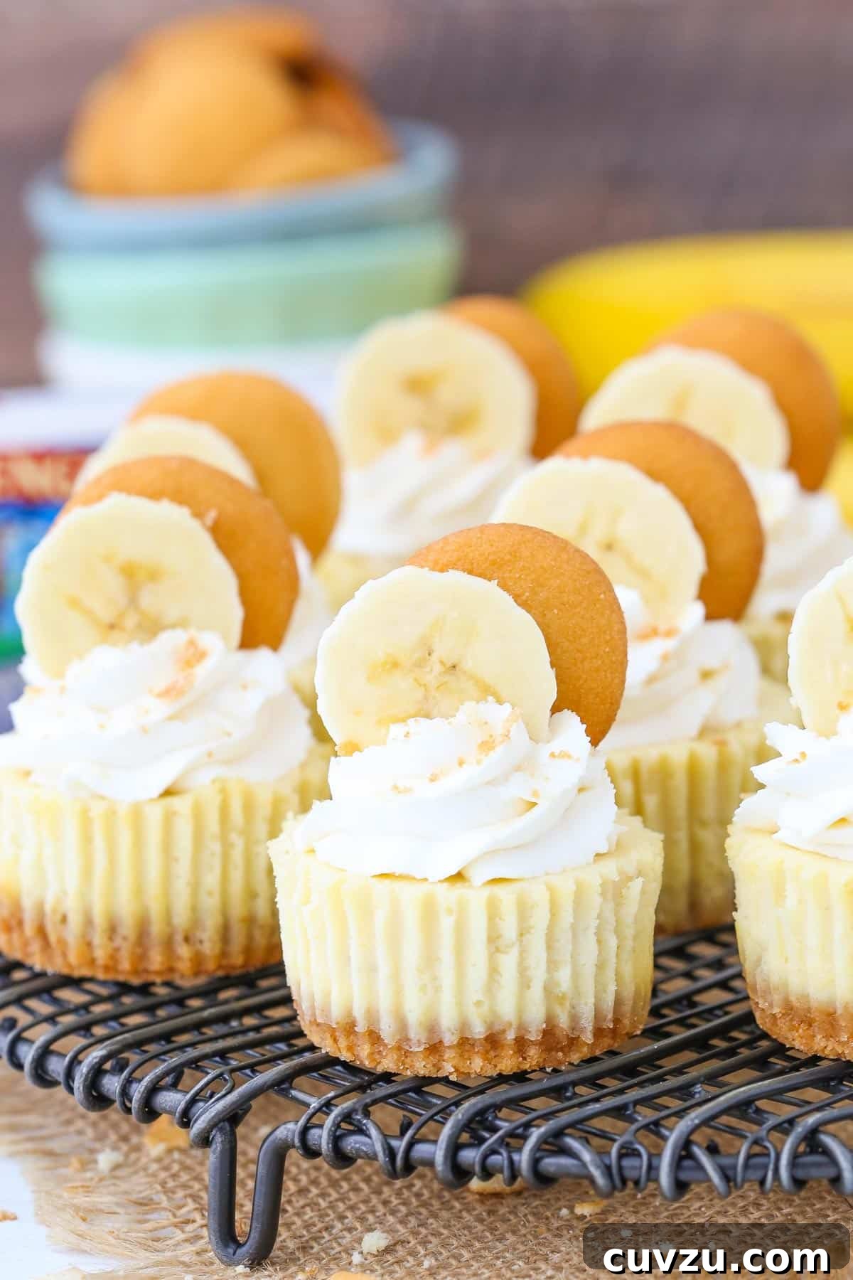 Banana Pudding Cheesecake Bites 5 Several mini banana pudding cheesecakes on a wire rack.