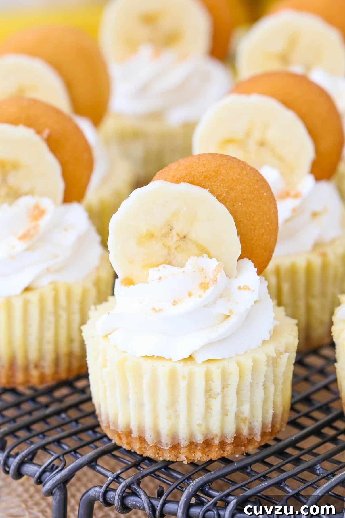 Banana Pudding Cheesecake Bites 6 Close up of mini banana pudding cheesecakes.