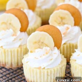 Close up of mini banana pudding cheesecakes on a wire rack.