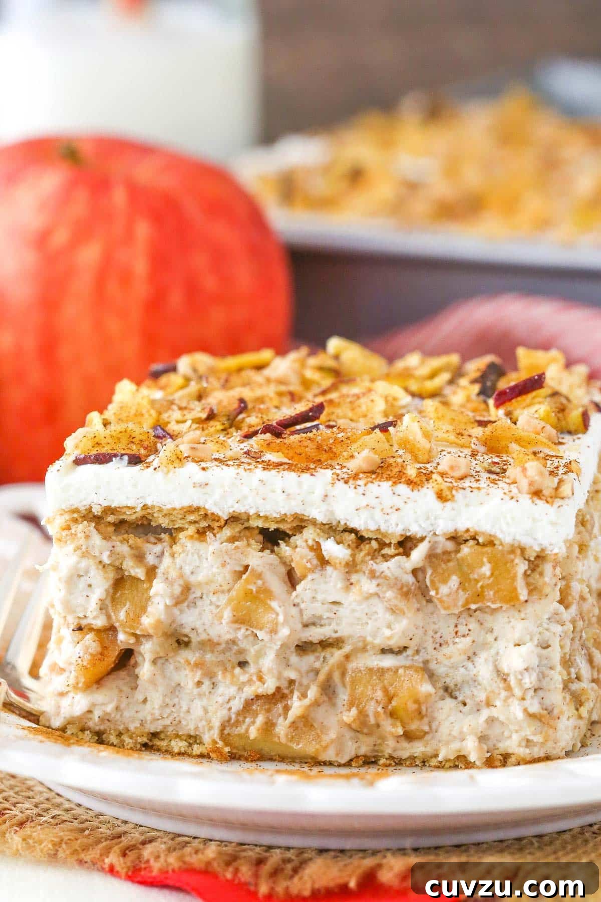 Spiced Apple No-Bake Delight 5 A top-down view of a slice of Cinnamon Apple Icebox Cake on a white plate, ready to be served.